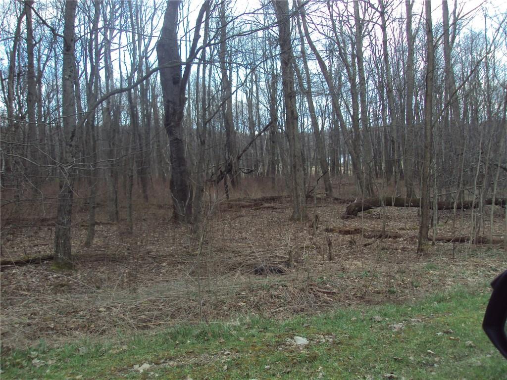 0 Garrett Shortcut Road Berlin, PA 15530 - Photo 9 of 15