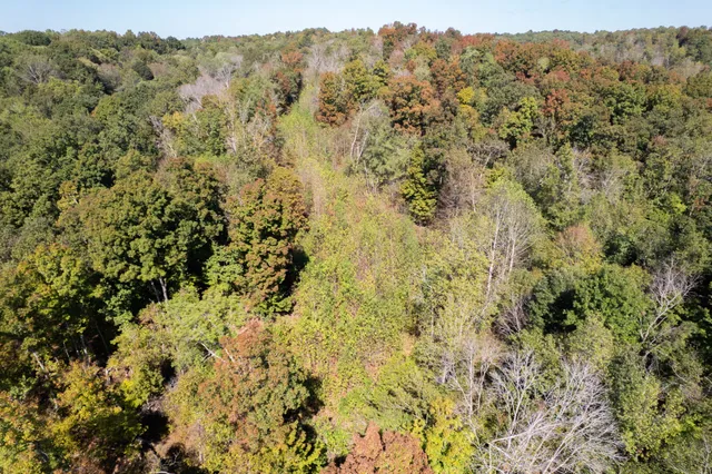 $1,200,000 | 0 Lock E Road, Cadiz, KY 42211