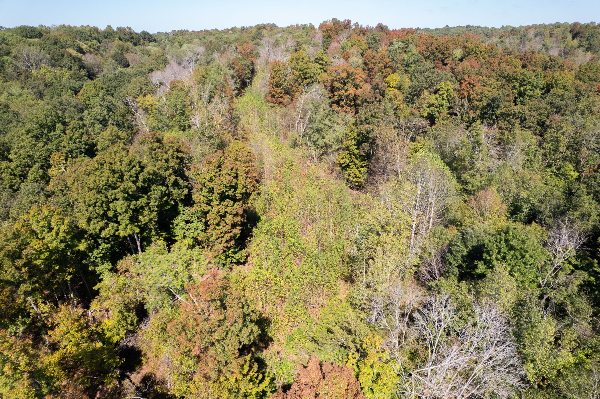 0 Lock E Road Cadiz, KY 42211 - Photo 15 of 87