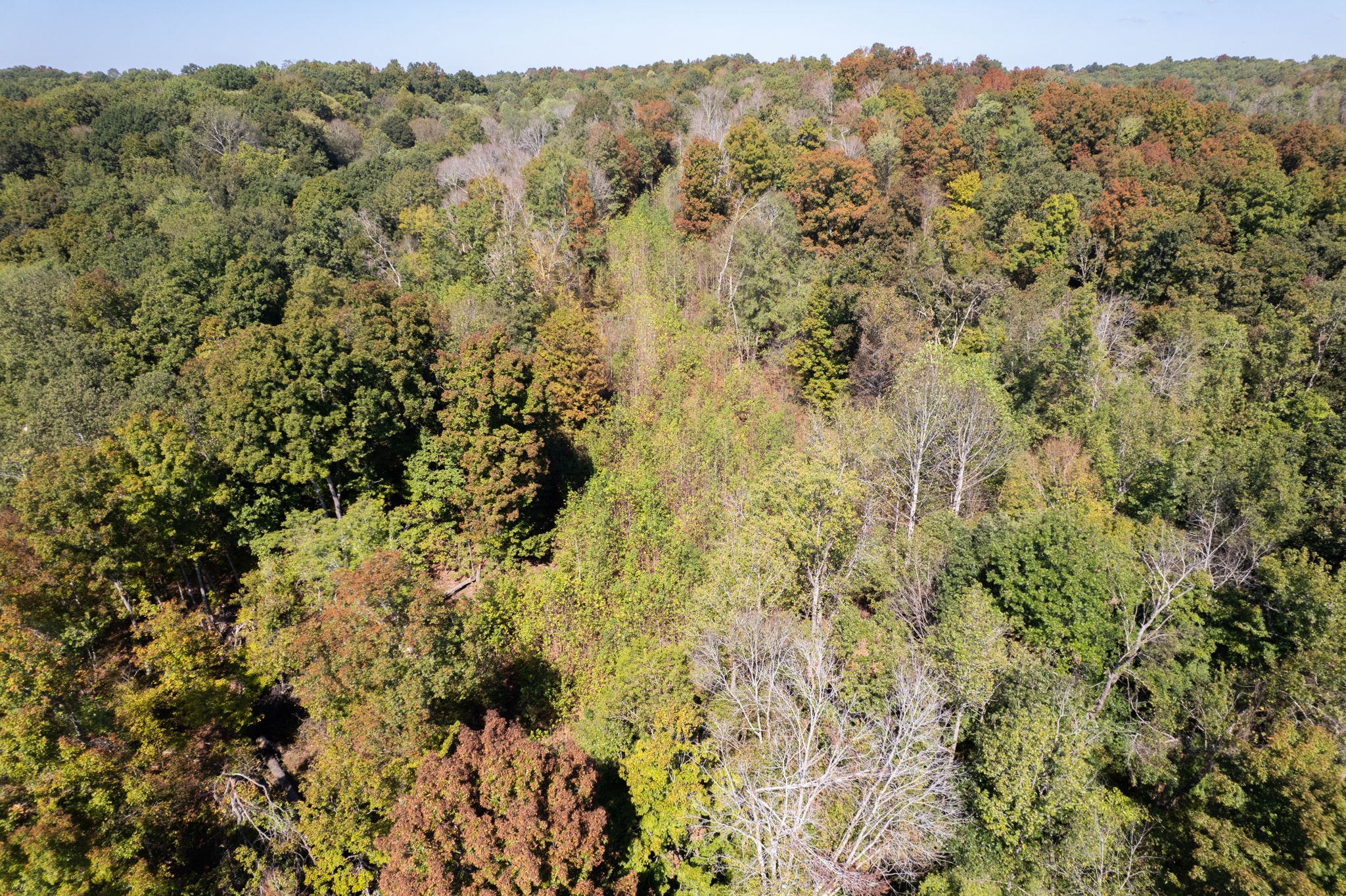 0 Lock E Road Cadiz, KY 42211 - Photo 16 of 87