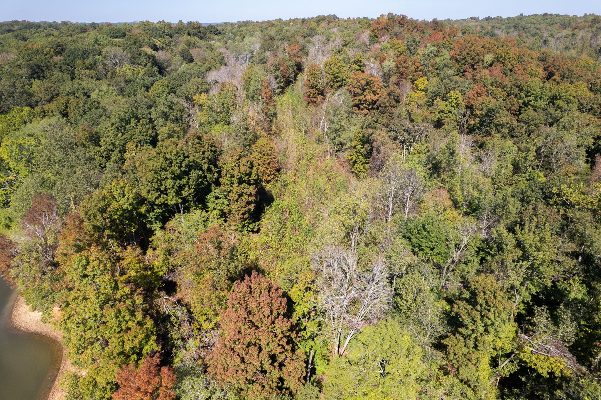 0 Lock E Road Cadiz, KY 42211 - Photo 17 of 87