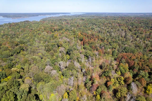 $1,200,000 | 0 Lock E Road, Cadiz, KY 42211