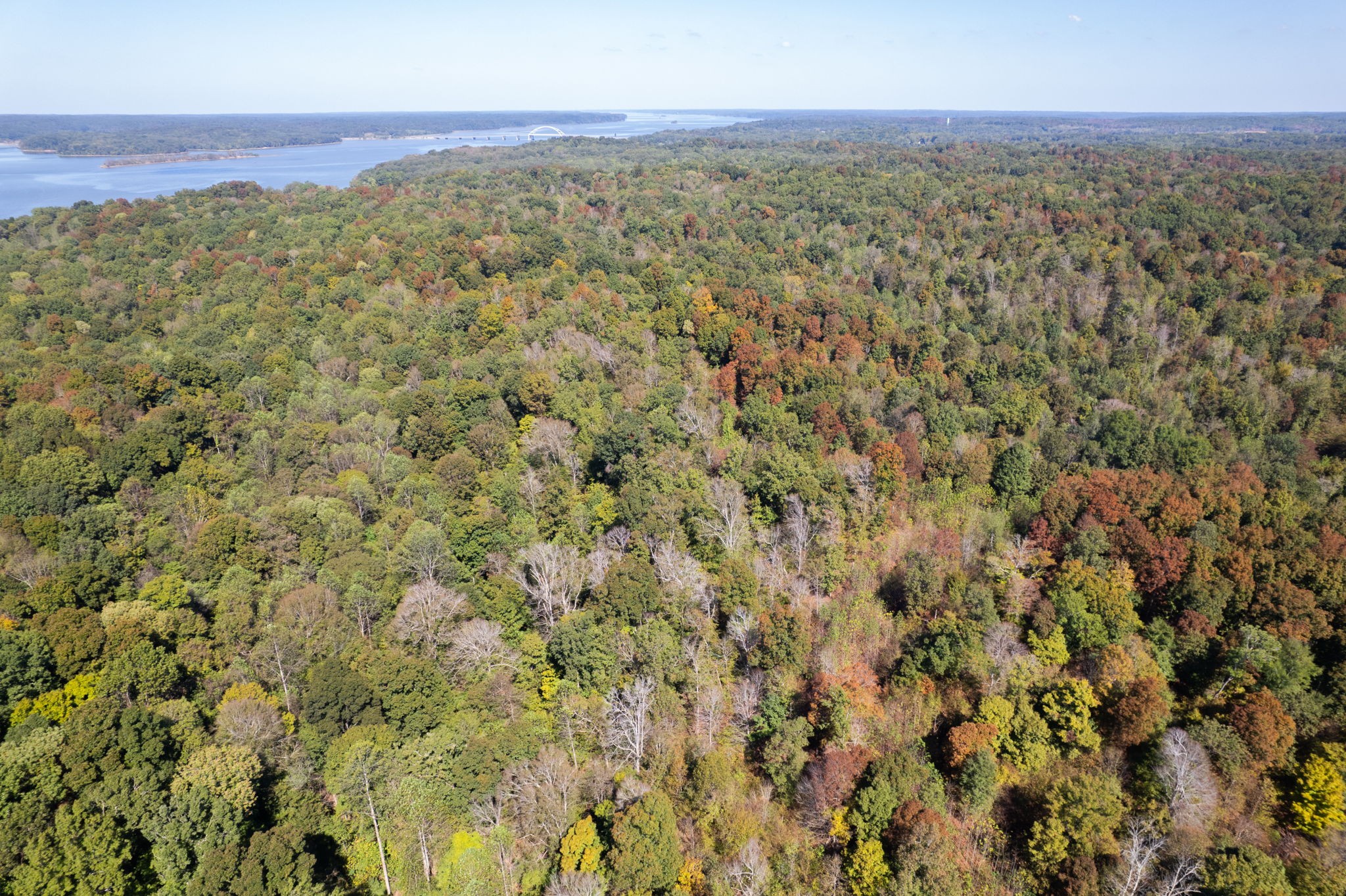 0 Lock E Road Cadiz, KY 42211 - Photo 18 of 87