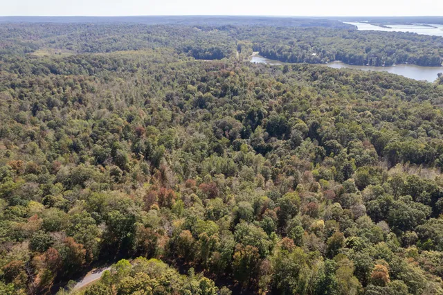 $1,200,000 | 0 Lock E Road, Cadiz, KY 42211