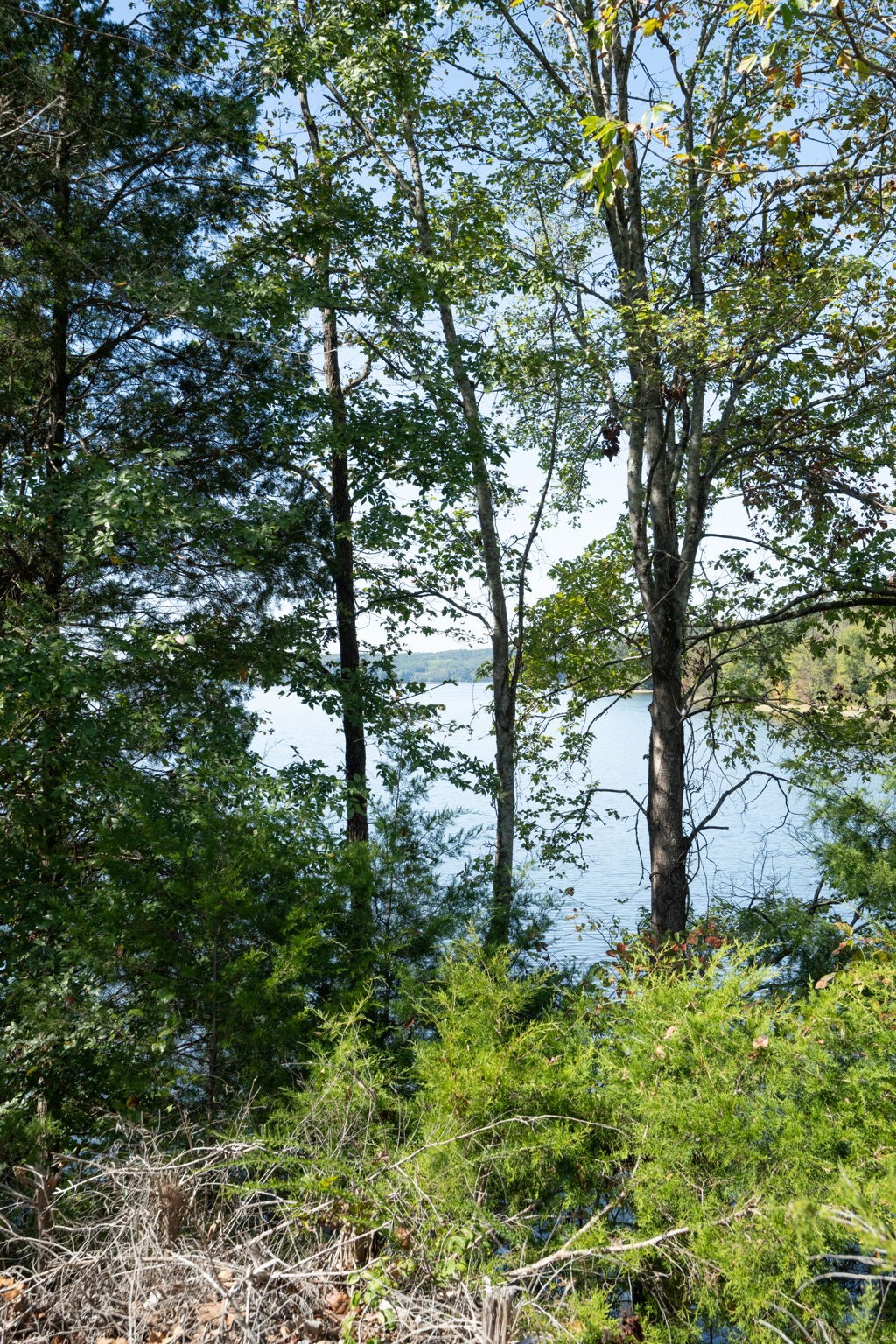 0 Lock E Road Cadiz, KY 42211 - Photo 45 of 87