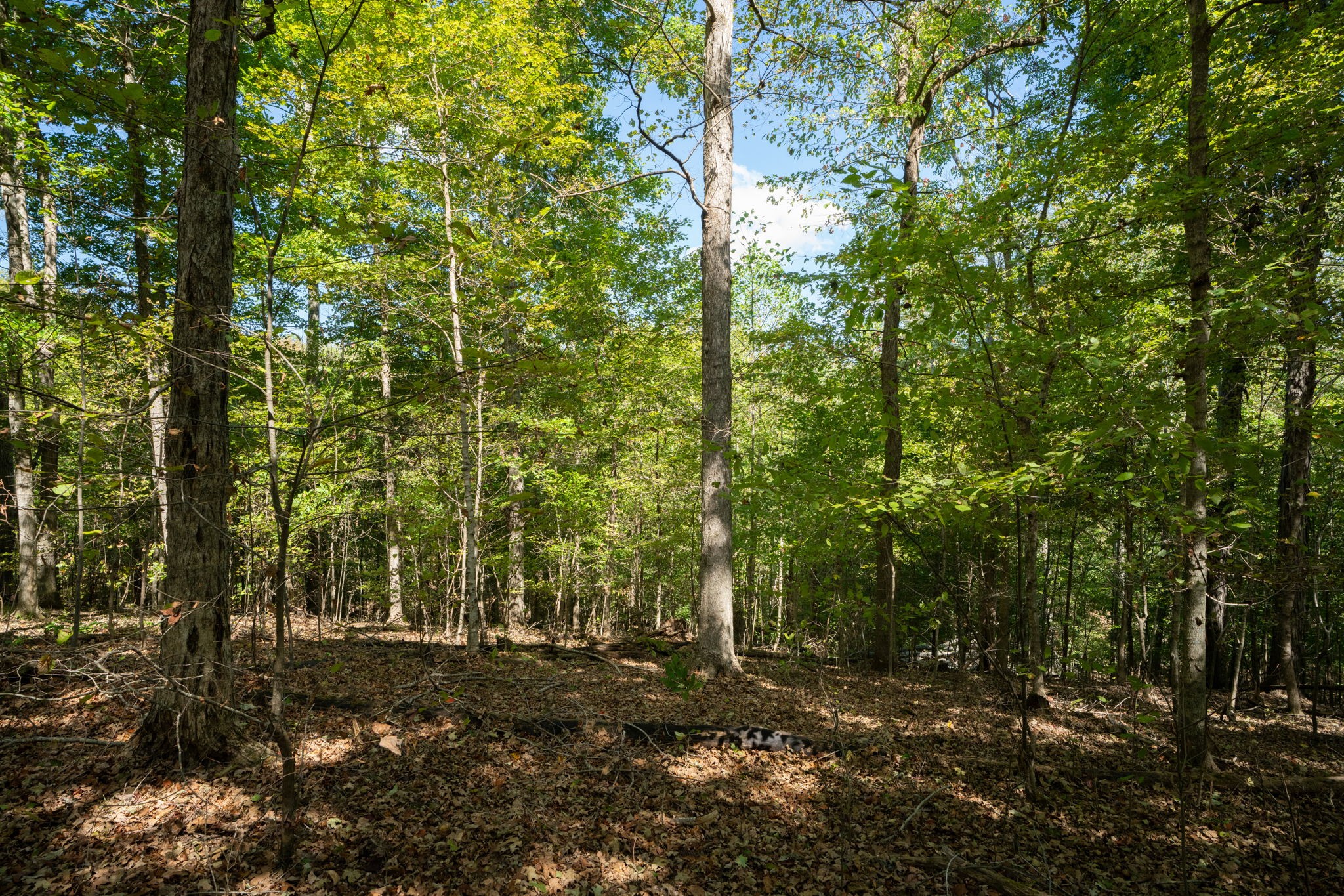 0 Lock E Road Cadiz, KY 42211 - Photo 49 of 87