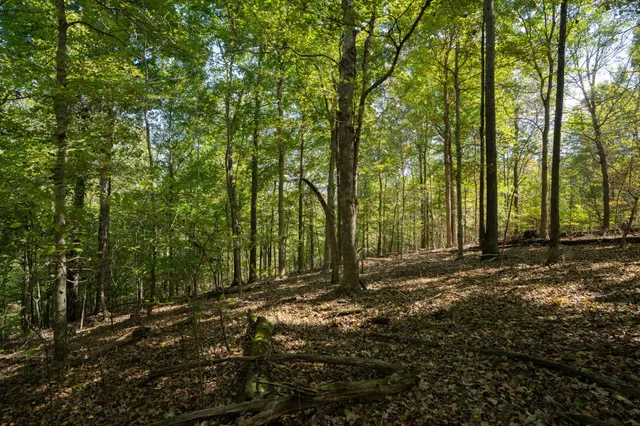 $1,200,000 | 0 Lock E Road, Cadiz, KY 42211