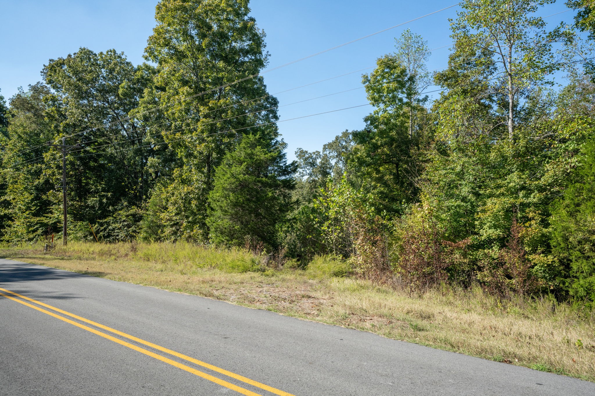 0 Lock E Road Cadiz, KY 42211 - Photo 54 of 87