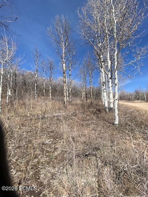 2604 South Forest Meadow Road Coalville, UT 84017 - Photo 26 of 28