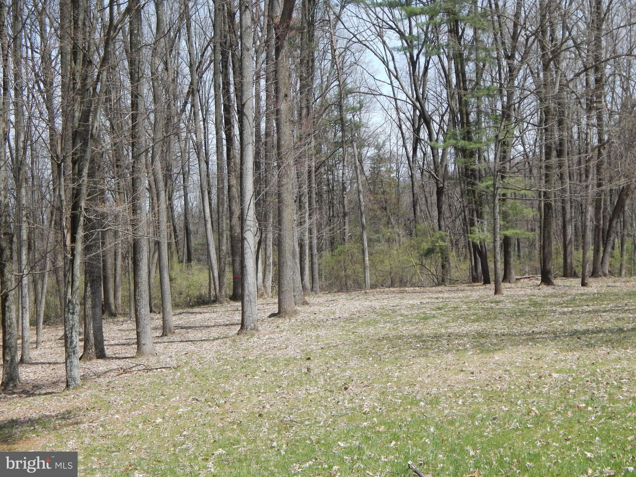 0 Fish And Game Road Dover, PA 17315 - Photo 2 of 21 Gallery Image 2