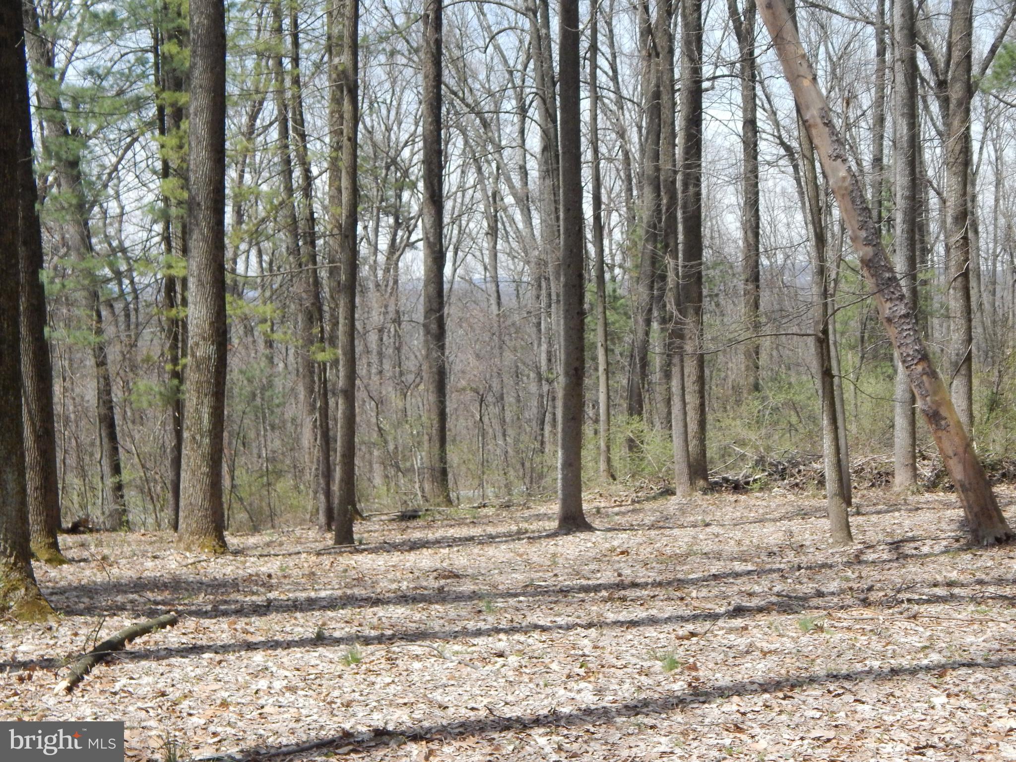 0 Fish And Game Road Dover, PA 17315 - Photo 12 of 21 Gallery Image 12