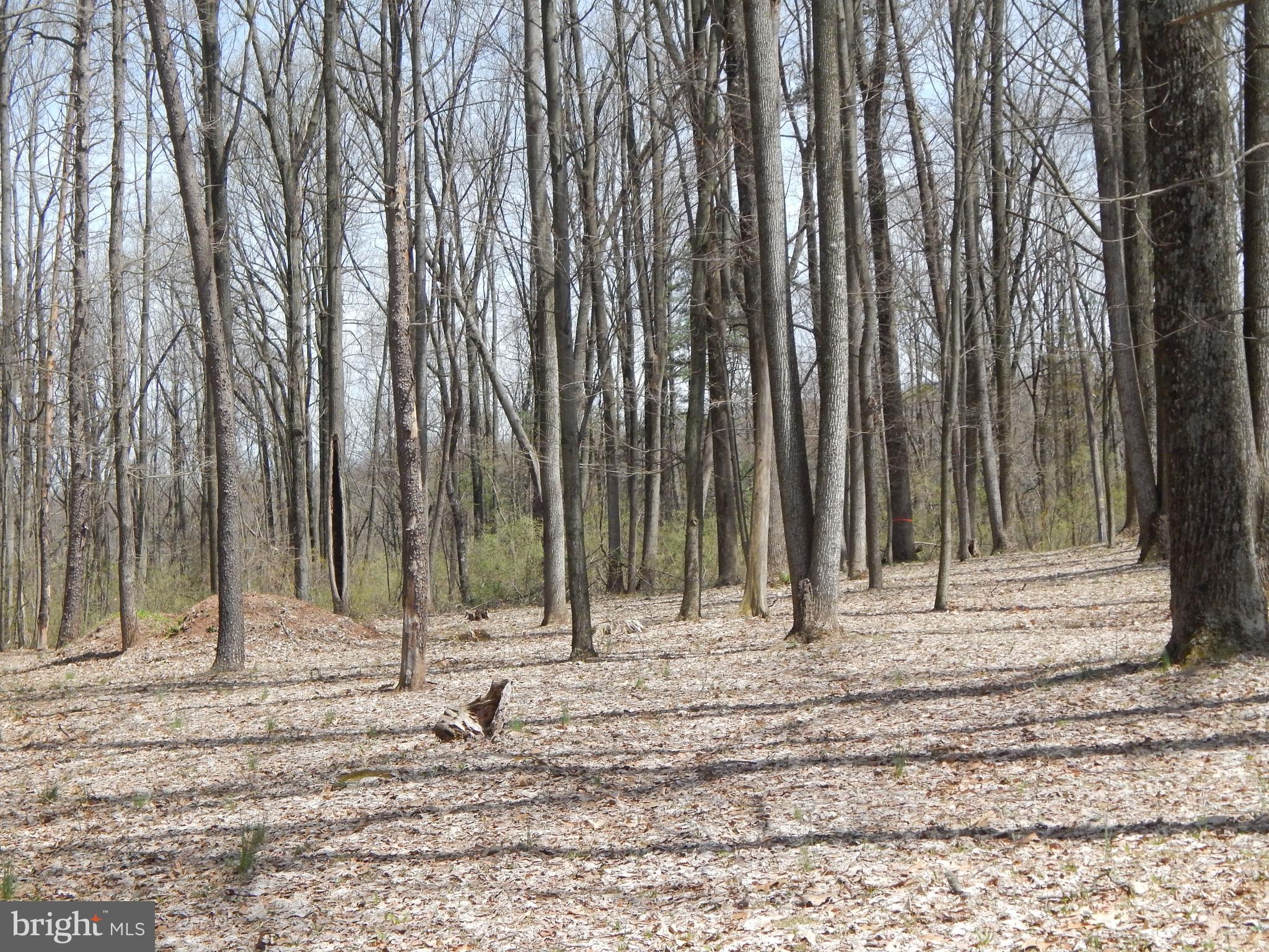 0 Fish And Game Road Dover, PA 17315 - Photo 13 of 21 Gallery Image 13