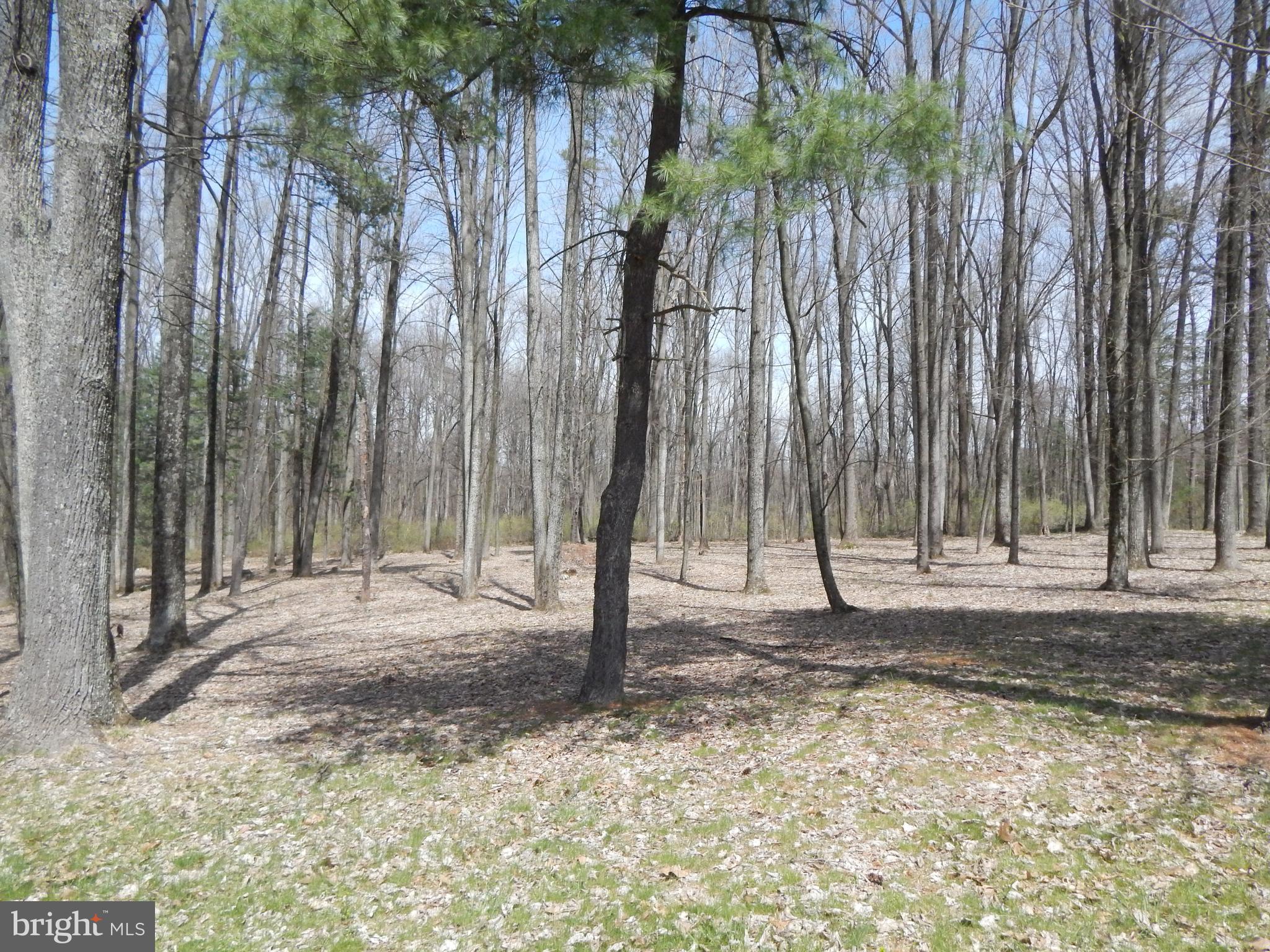 0 Fish And Game Road Dover, PA 17315 - Photo 14 of 21 Gallery Image 14