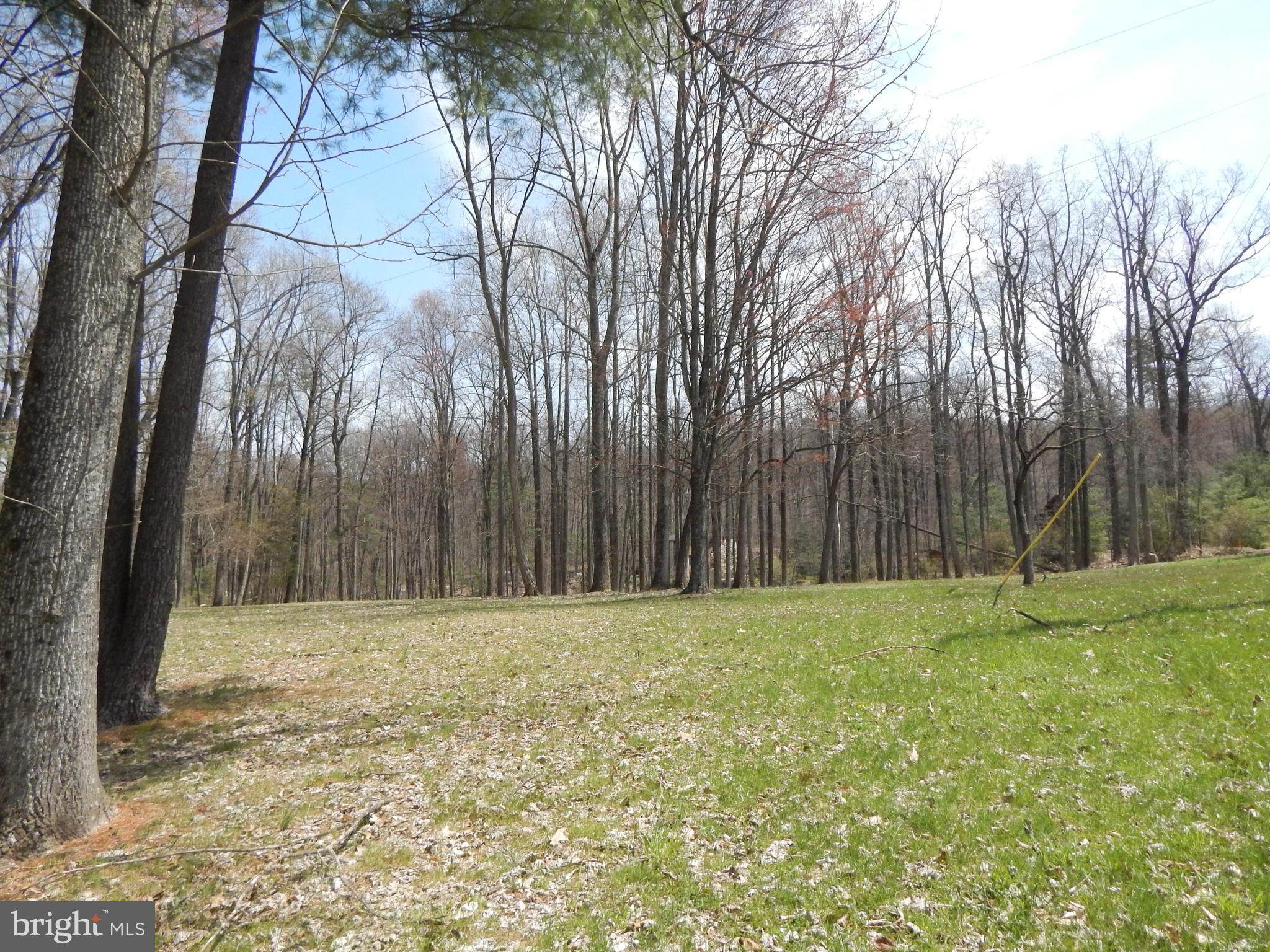 0 Fish And Game Road Dover, PA 17315 - Photo 16 of 21 Gallery Image 16