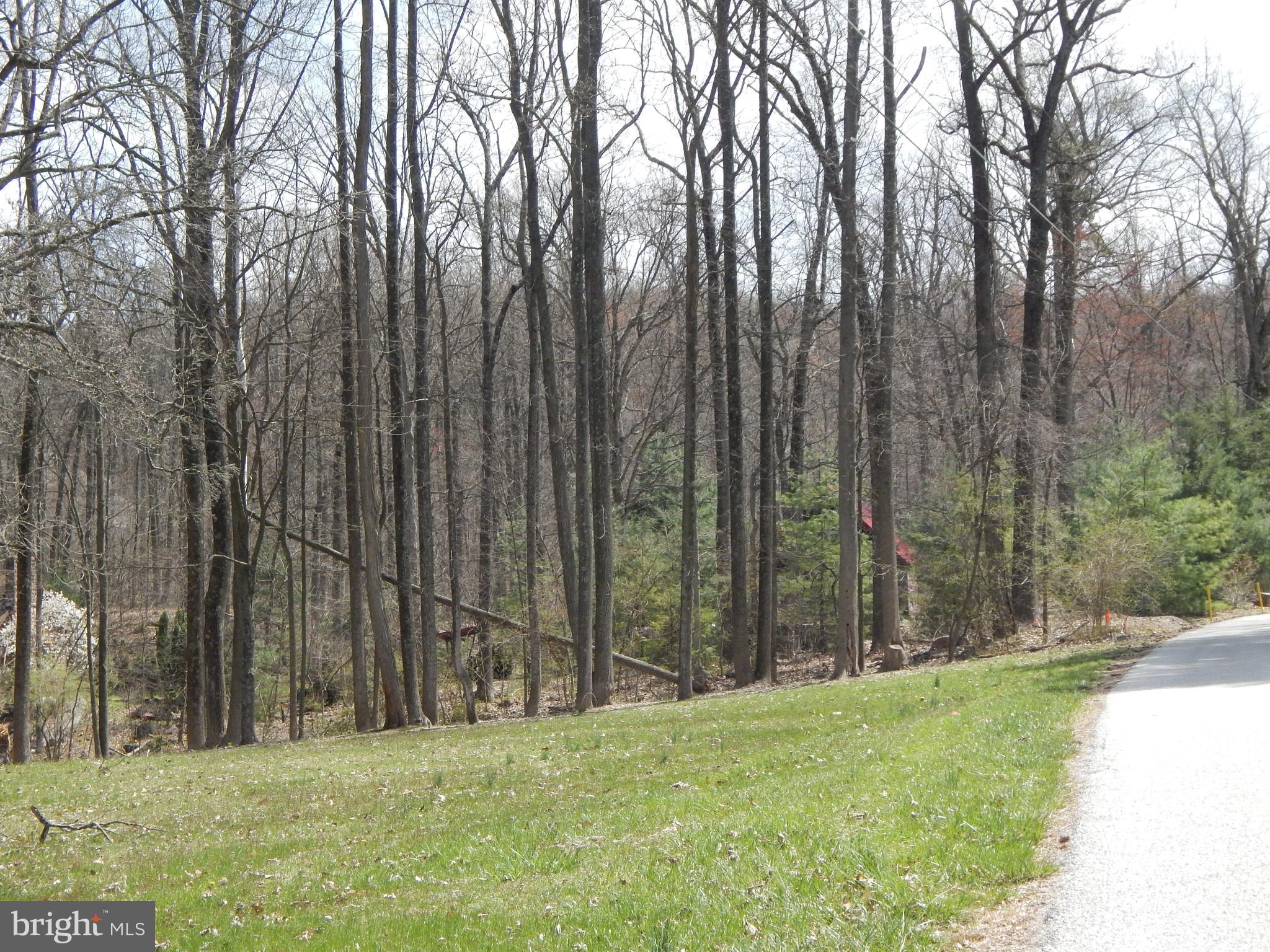 0 Fish And Game Road Dover, PA 17315 - Photo 3 of 21 Gallery Image 3