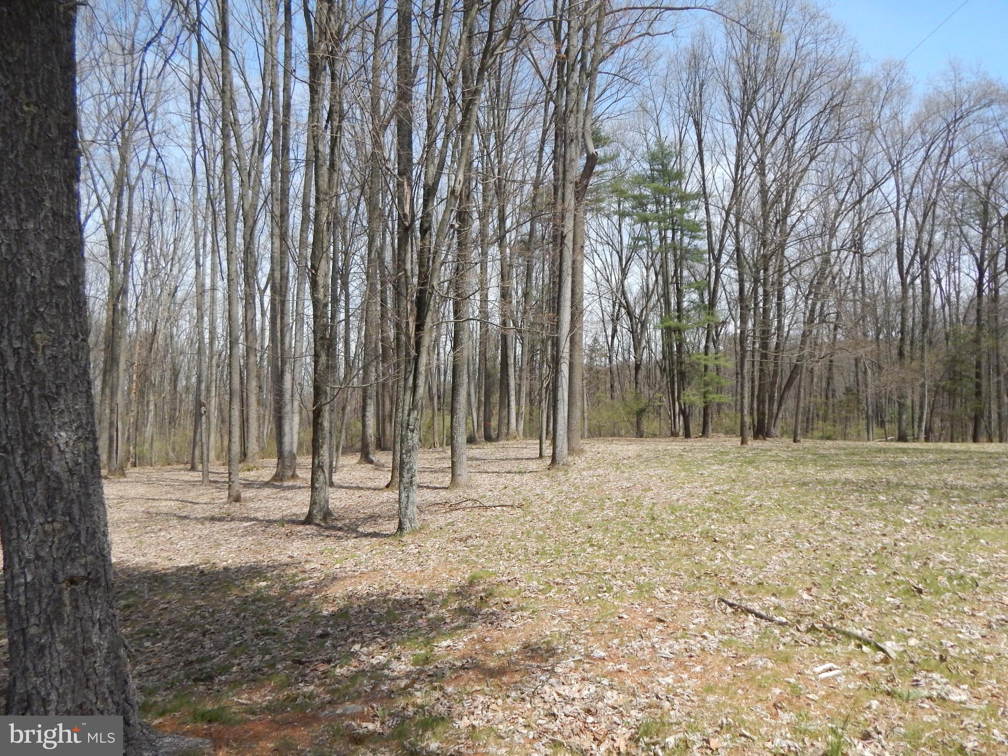 0 Fish And Game Road Dover, PA 17315 - Photo 21 of 21 Gallery Image 21