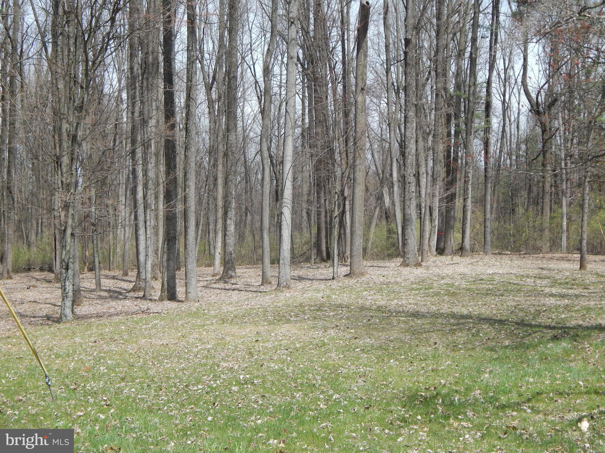 0 Fish And Game Road Dover, PA 17315 - Photo 4 of 21 Gallery Image 4