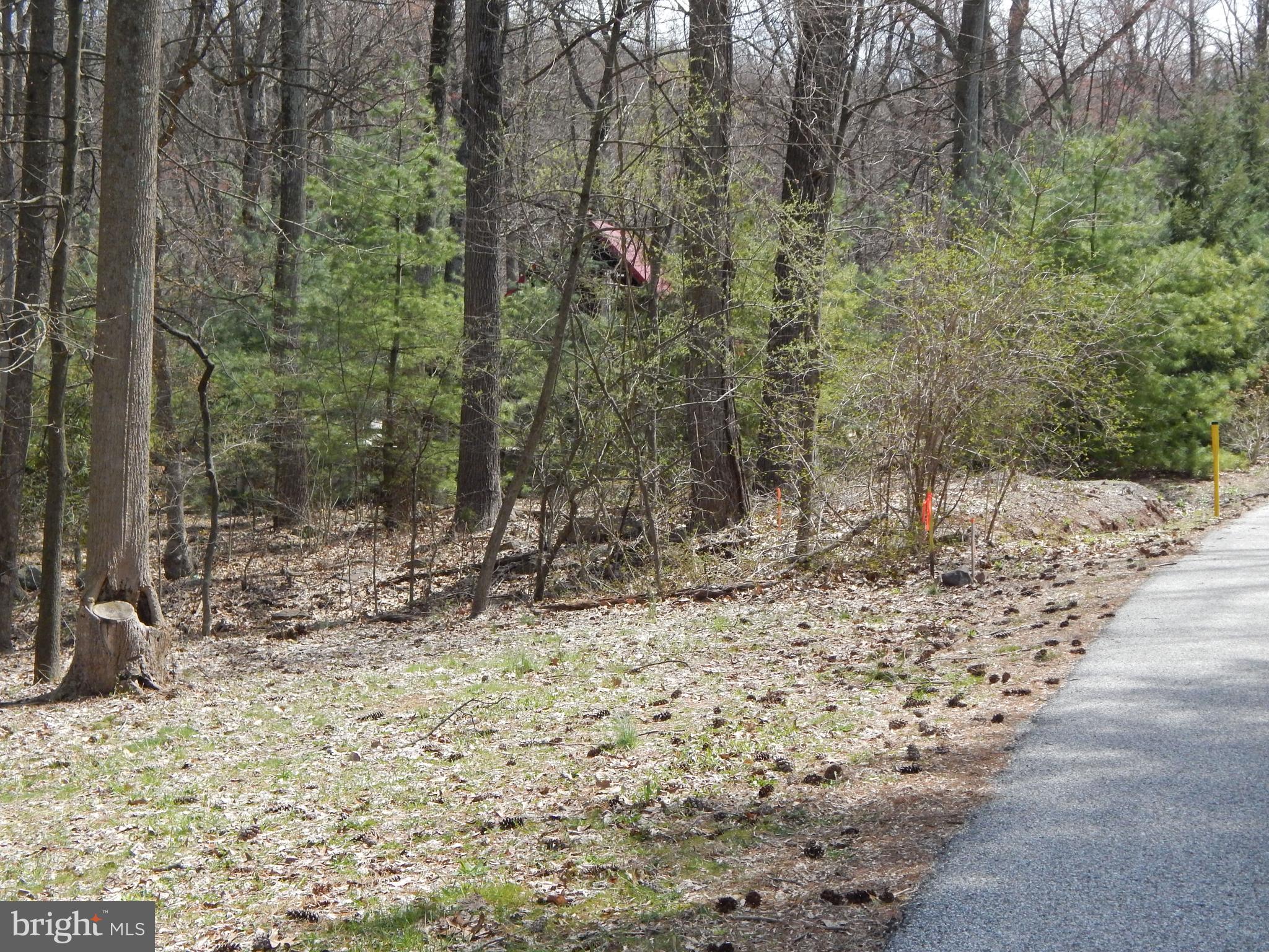 0 Fish And Game Road Dover, PA 17315 - Photo 5 of 21 Gallery Image 5