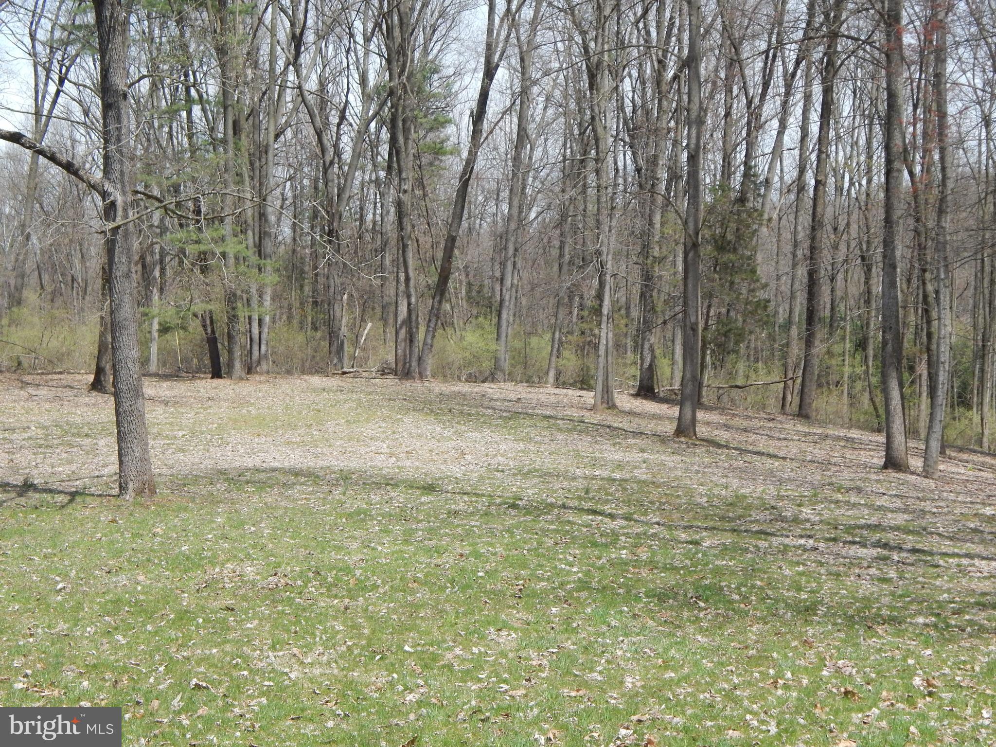 0 Fish And Game Road Dover, PA 17315 - Photo 6 of 21 Gallery Image 6