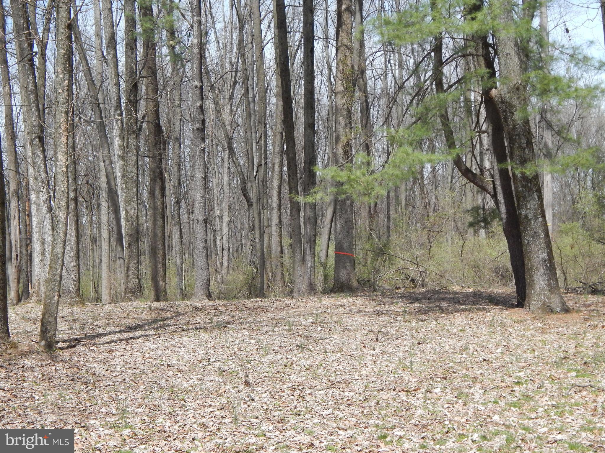 0 Fish And Game Road Dover, PA 17315 - Photo 7 of 21 Gallery Image 7