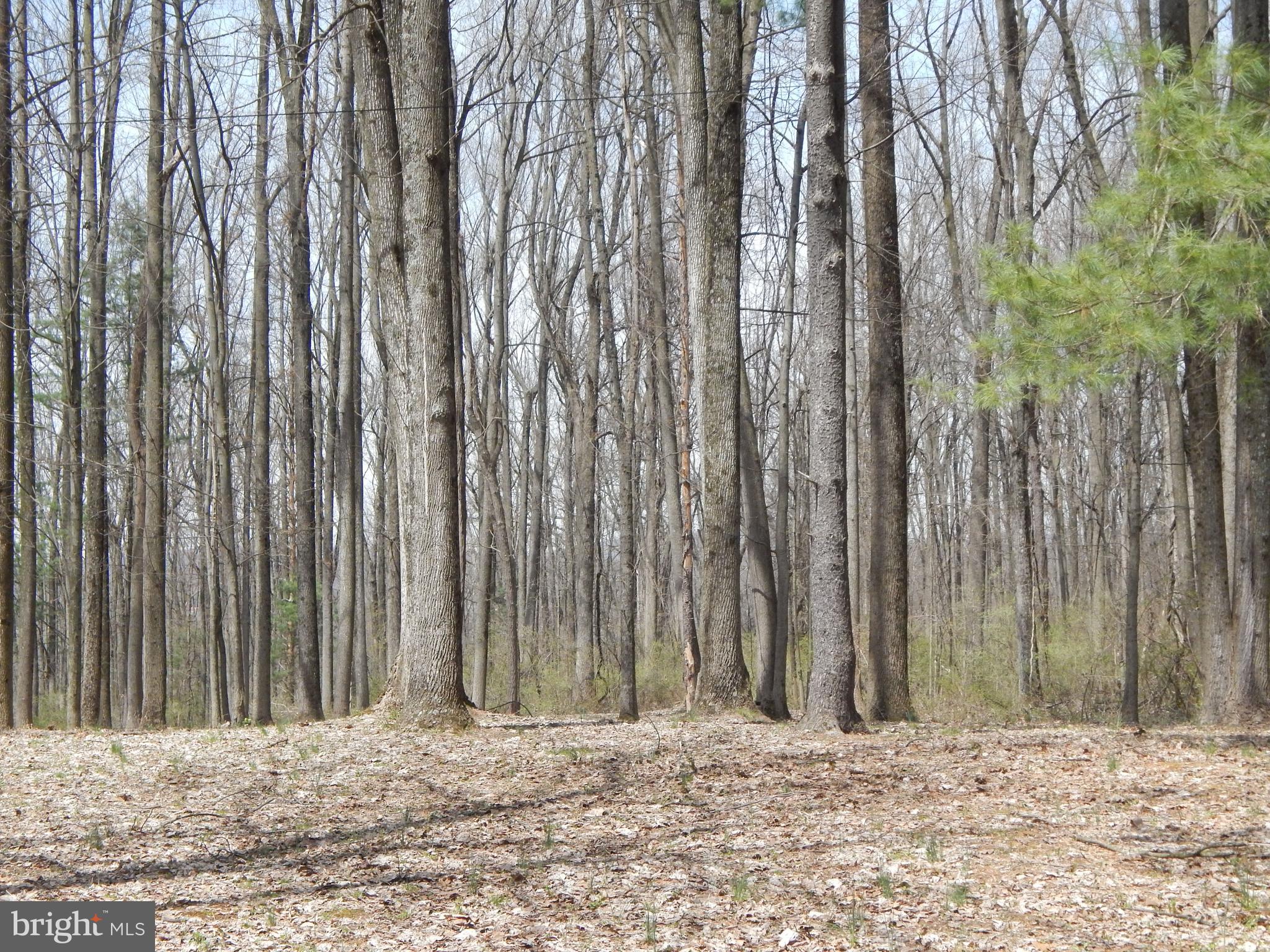 0 Fish And Game Road Dover, PA 17315 - Photo 8 of 21 Gallery Image 8