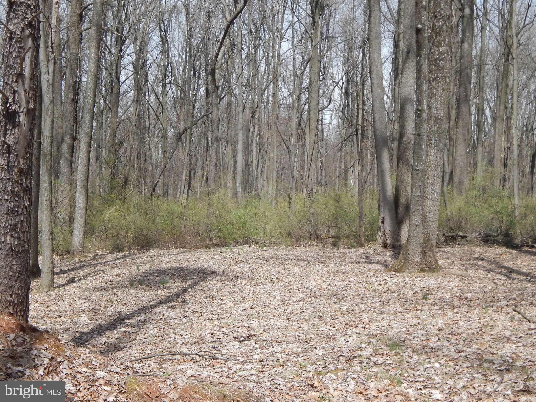 0 Fish And Game Road Dover, PA 17315 - Photo 9 of 21 Gallery Image 9