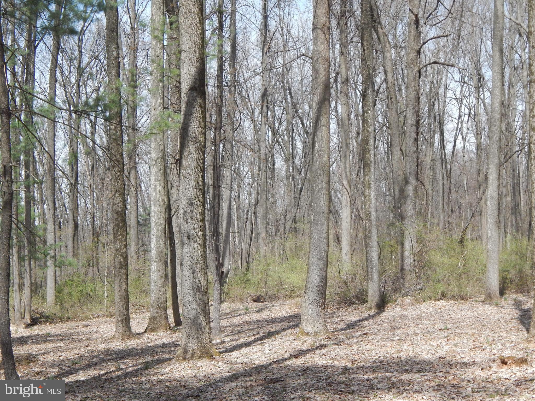 0 Fish And Game Road Dover, PA 17315 - Photo 10 of 21 Gallery Image 10