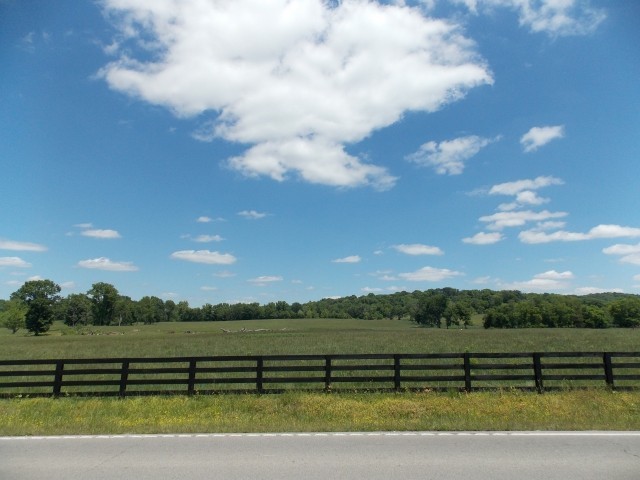 12698 Versailles Road Rockvale, TN 37153 - Photo 18 of 30 a view of a yard