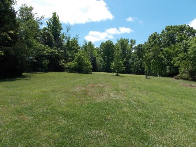 12698 Versailles Road Rockvale, TN 37153 - Photo 28 of 30 a view of an outdoor space and a yard