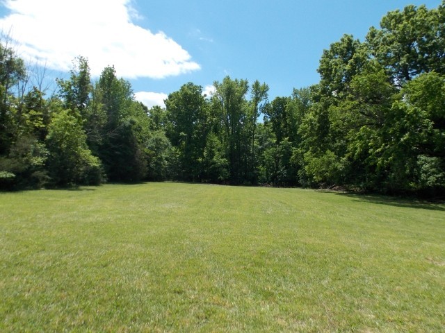 12698 Versailles Road Rockvale, TN 37153 - Photo 29 of 30 a view of a yard with a trees