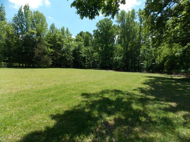 12698 Versailles Road Rockvale, TN 37153 - Photo 30 of 30 a view of a field with a trees in the background