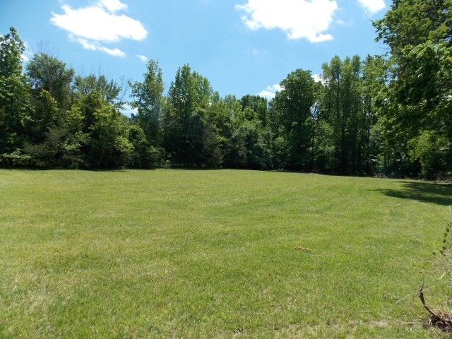 12698 Versailles Road Rockvale, TN 37153 - Photo 4 of 30 a view of a field with trees in the background
