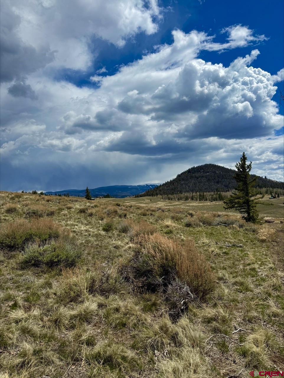 230 Castle Circle Powderhorn, CO 81243 - Photo 1 of 7 a view of a lake
