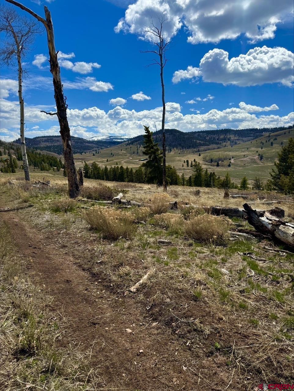 230 Castle Circle Powderhorn, CO 81243 - Photo 2 of 7 a view of a yard
