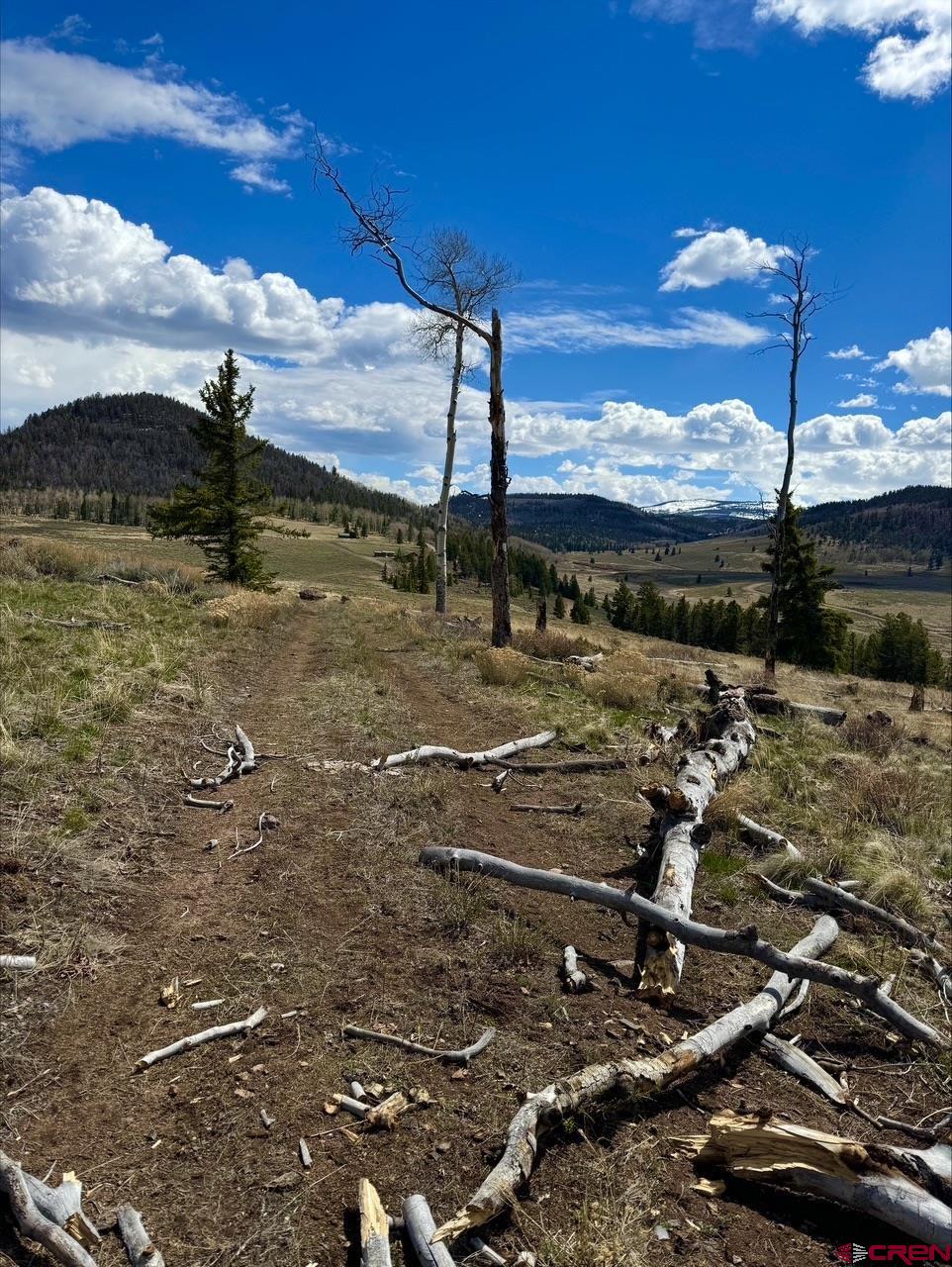 230 Castle Circle Powderhorn, CO 81243 - Photo 3 of 7 a view of a lake
