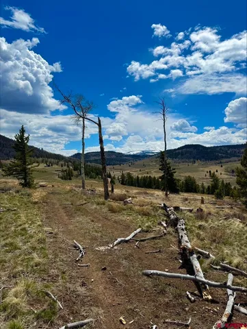 a view of a backyard of the house