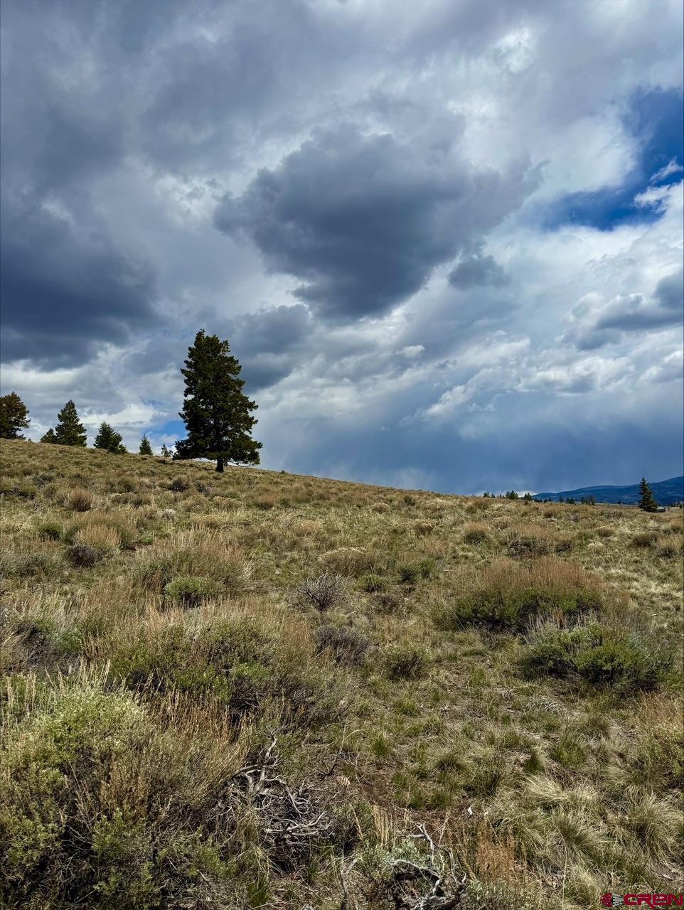 230 Castle Circle Powderhorn, CO 81243 - Photo 5 of 7