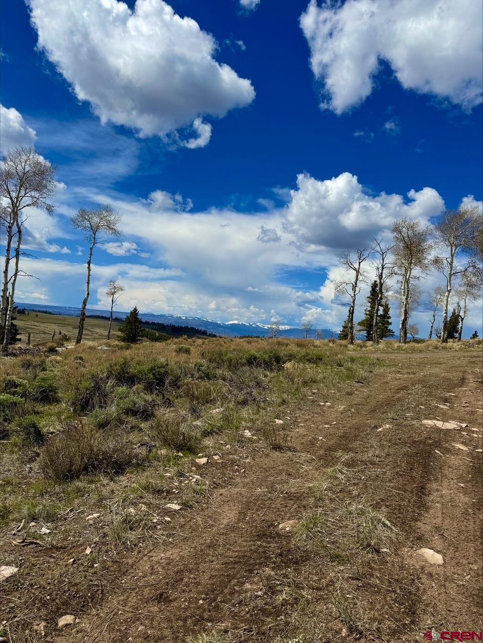 230 Castle Circle Powderhorn, CO 81243 - Photo 6 of 7 a view of a pathway with a building in the background