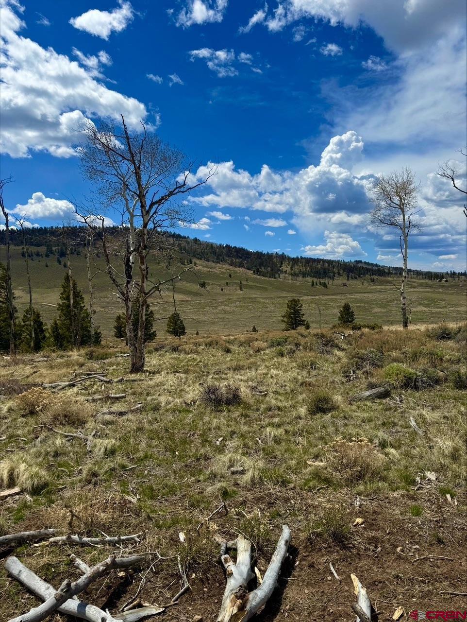 230 Castle Circle Powderhorn, CO 81243 - Photo 7 of 7 a view of a lake