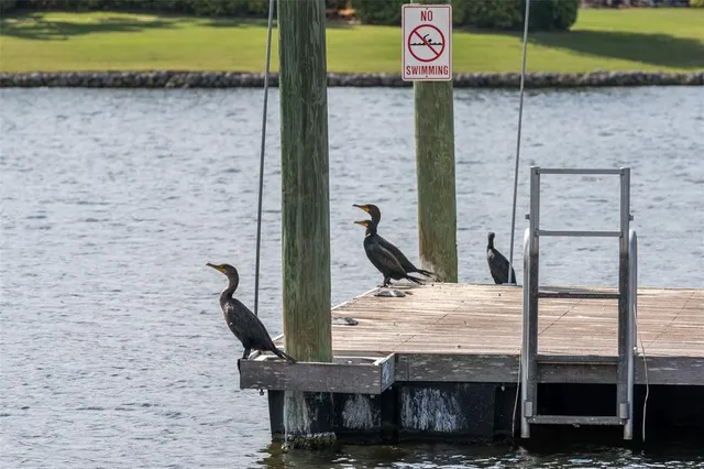 $1,598,999 | 825 Islebay Drive, Apollo Beach, FL 33572