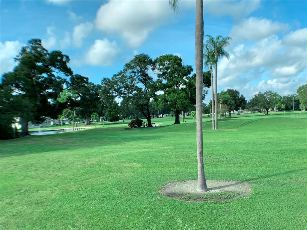1100 South Belcher Road, Unit 197 Largo, FL 33771 - Photo 35 of 60 a view of a park with a tree