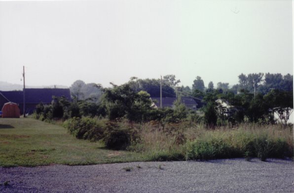 Primary Photo