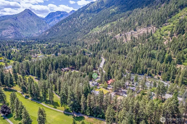 a view of a lake with a tree