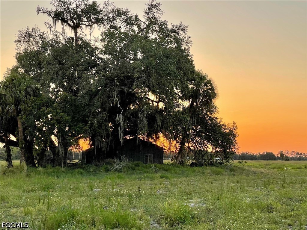 501 Norris Road LaBelle, FL 33935 - Photo 5 of 18