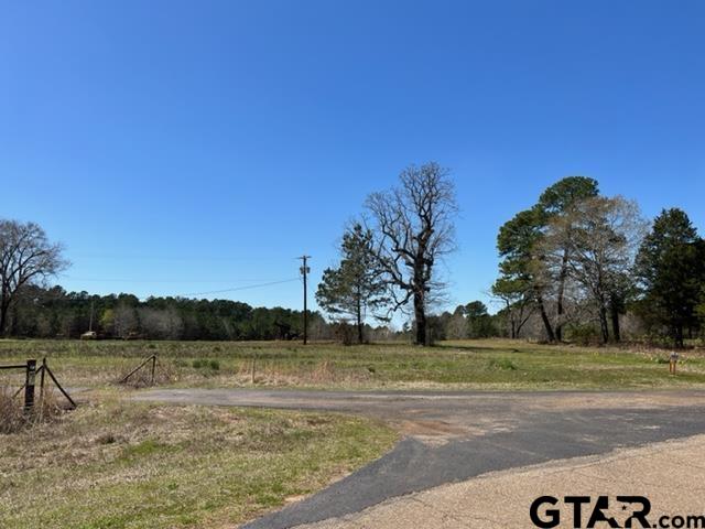 460-acres Off Watson Road Kilgore, TX 75662 - Photo 14 of 38