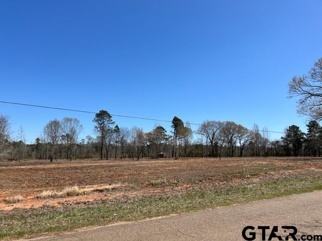 460-acres Off Watson Road Kilgore, TX 75662 - Photo 18 of 38