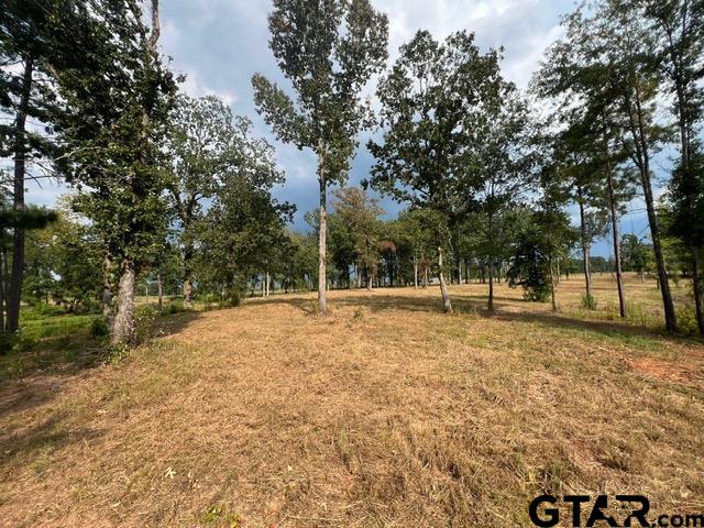 460-acres Off Watson Road Kilgore, TX 75662 - Photo 26 of 38