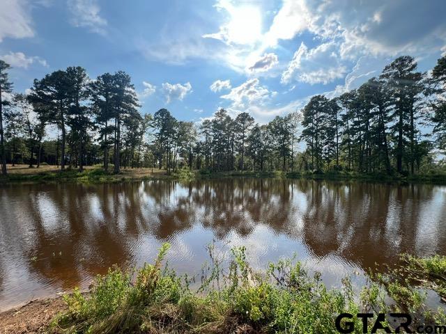460-acres Off Watson Road Kilgore, TX 75662 - Photo 34 of 38