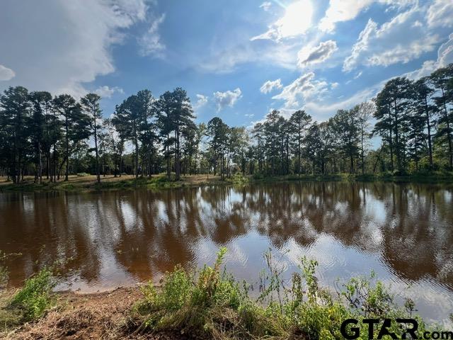 460-acres Off Watson Road Kilgore, TX 75662 - Photo 35 of 38