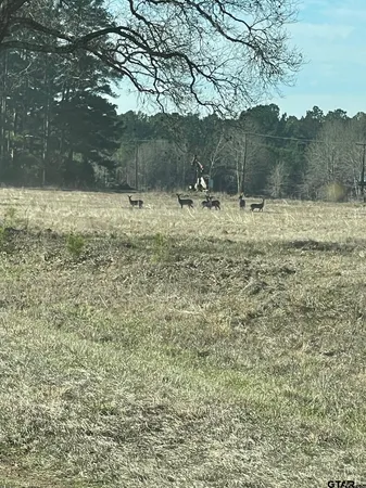 $2,199,000 | 460-acres Off Watson Road, Kilgore, TX 75662